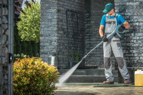 Best Sidewalk and Walkway Cleaning  in Gaylord, MN